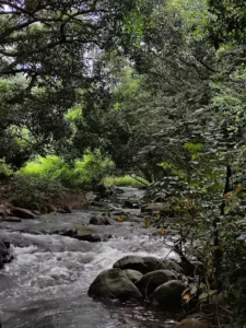 unnamed - 2025-09-22T100103.047